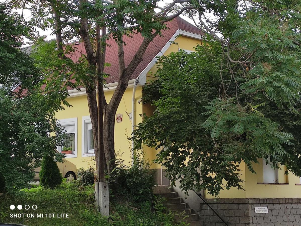 Szitakoeto Apartman Eger Exteriör bild